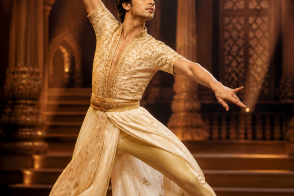 faisal khan (dancer) movies and tv shows